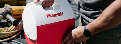 Playmate