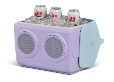 angle r open ice::Lilac::Advanced insulation