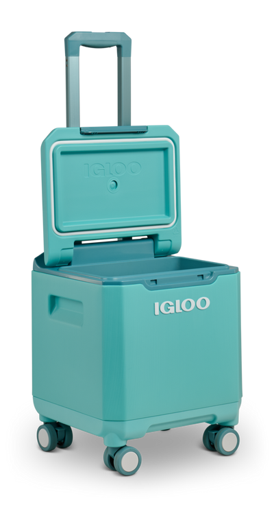 angle r open::Lagoon Teal::Leak-resistant lid gasket