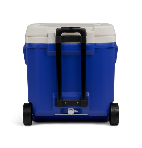 rear image::Blue::Telescopic handle & wheels