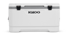 front image