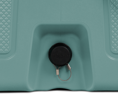 drain plug close up::Spruce::Drain plug